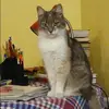 Отзыв от Лера Глухова